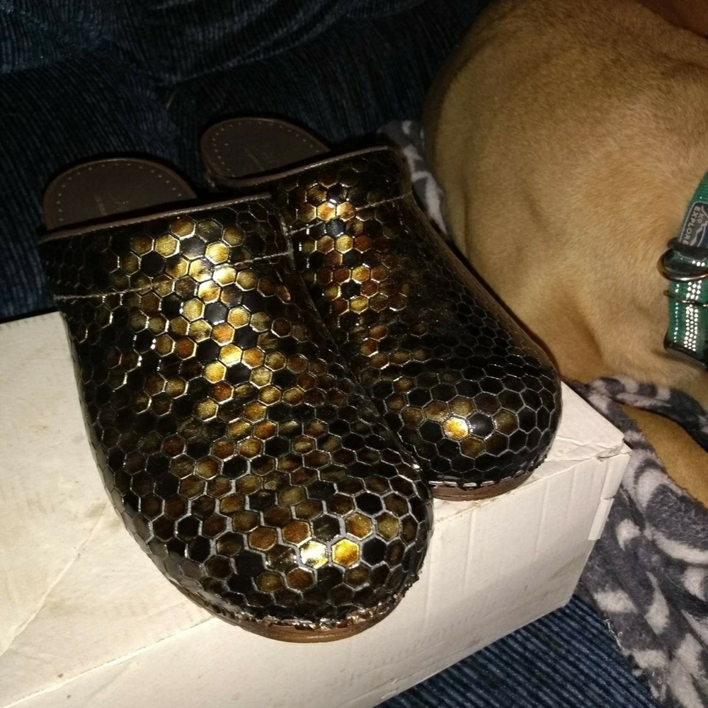 Sanita clogs